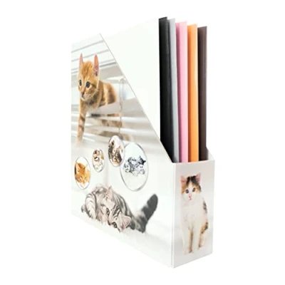 Afbeelding van HERMA 19717 staande A4 met kattenmotief, 7,5 cm breed, opvouwbaar, stevig karton, smalle tijdschriftenhouder voor meisjes en jongens, map het bewaren van documenten, mappen