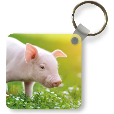 Afbeelding van Sleutelhanger Uitdeelcadeautjes Dieren Biggetje Varken Plastic