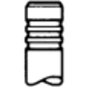 Afbeelding van TRW Engine Component Inlaatklep 39486