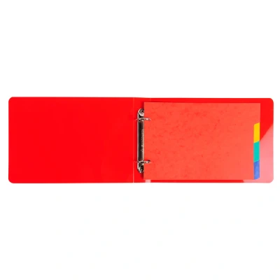 Afbeelding van Exacompta ref. 804E Soepele glanskartonnen tabbladen voor Bristol steekkaarten 225g/m2 FSC® met 4 neutrale tabs 2 ringen Afmetingen: 148x210mm geassorteerde kleuren