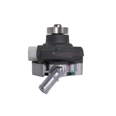Afbeelding van Lauber Servopomp 55.0852