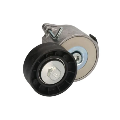 Afbeelding van Skf Spanrol (poly) V riem VKM 32046