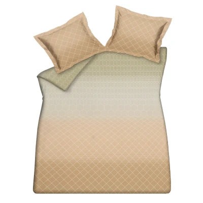 Afbeelding van Vandyck GRADIENT 200x200/220 + 2x 60x70 apricot blush