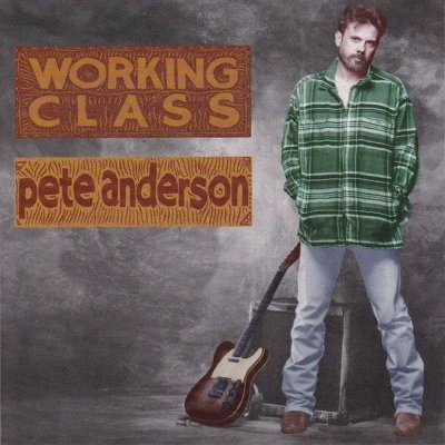 Afbeelding van Pete Anderson Working Class (CD)