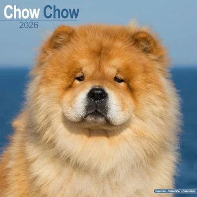 Afbeelding van Chow Calendar 2026 Square Dog Breed Wall 16 Month