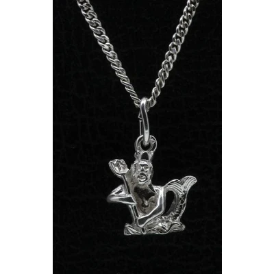 Afbeelding van Zilveren Sterrenbeeld Waterman ketting hanger klein