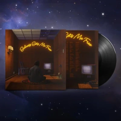 Afbeelding van Gruff Rhys Sadness Sets Me Free (LP)