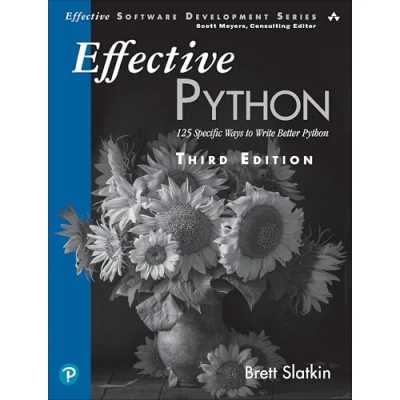 Afbeelding van Effective Software Development Series Python