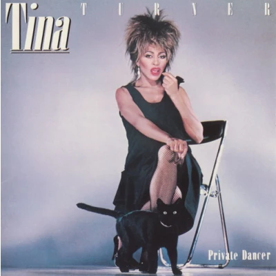 Afbeelding van Turner Tina Private Dancer