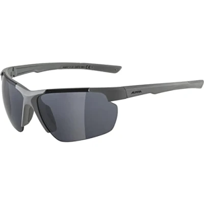 Afbeelding van Alpina Defey HR Moongrey Matt Glasdiameter: 70