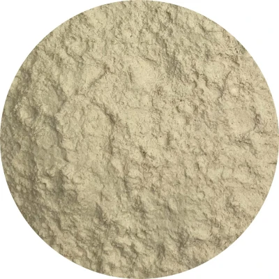 Afbeelding van Van Beekum Specerijen Carrageen E407a 20 KG Zak (bulk verpakking)