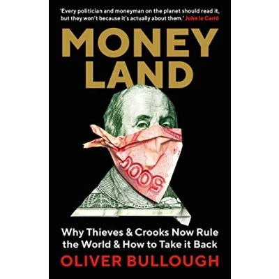 Afbeelding van Moneyland: Why Thieves And Crooks Now Rule The World How To Take It Back