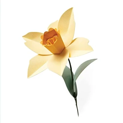 Afbeelding van Sizzix Bigz L Die Daffodil 665107 Olivia Rose (01 21)