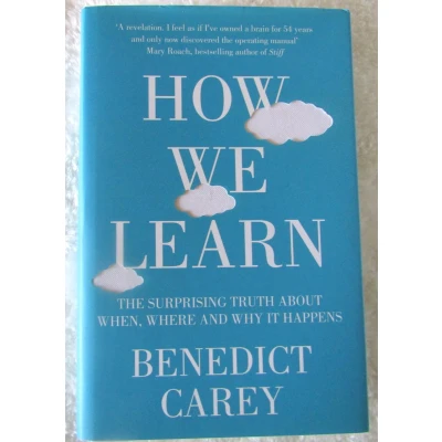 Afbeelding van How We Learn