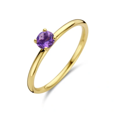 Afbeelding van 14K geelgoud ring amethist 4,0 mm 4027528 17