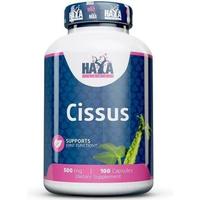 Afbeelding van Haya Labs Cissus 100 capsules