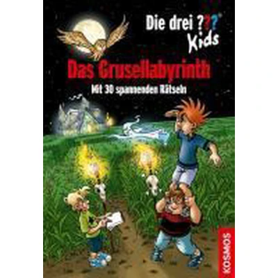 Afbeelding van Die drei ??? Kids. Das Grusellabyrinth (drei Fragezeichen)