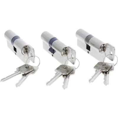 Afbeelding van Cilinder Starx 3 stuks (Dubbel, Gelijksluitend, 30/30 mm, Vernikkeld, 9 sleutels)