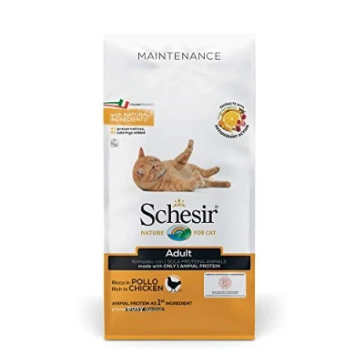 Afbeelding van Schesir maintenance 1 ST à 10 KG