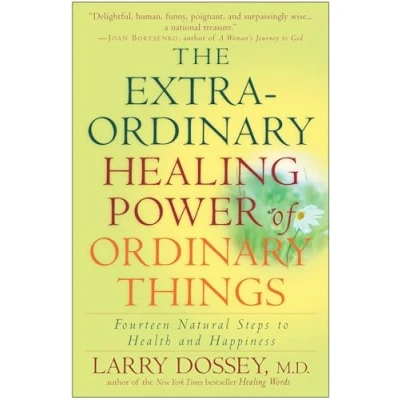 Afbeelding van Extraordinary Healing Power Of Ordinary Things