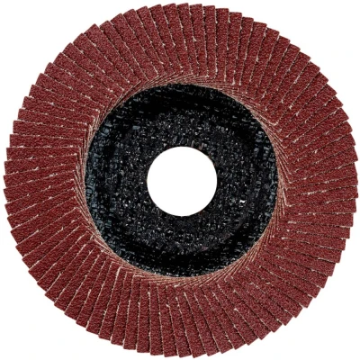 Afbeelding van Metabo 624398000 Lamellenschijf Boordiameter 22.23 mm 10 stuk(s)