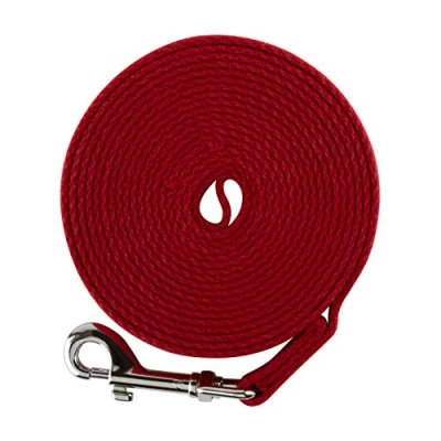 Afbeelding van Mikki Hond, Puppy Recall Training Lijn Nylon Webbing Lichtgewicht Wandelriem 30FT/9M Lang