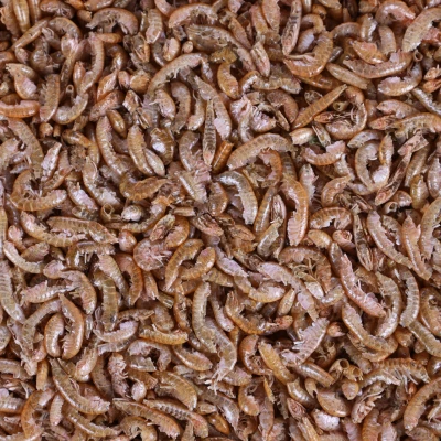 Afbeelding van Schildpaddenvoer Gammarus Natuurvoer 3 L