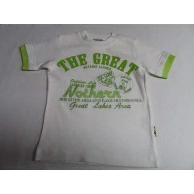 Afbeelding van T shirt Korte mouw Jongens Wit , groen Tekst 2 jaar 92