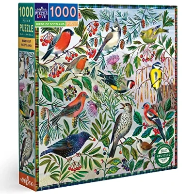 Afbeelding van puzzel Eeboo Birds of Scotland (1000)