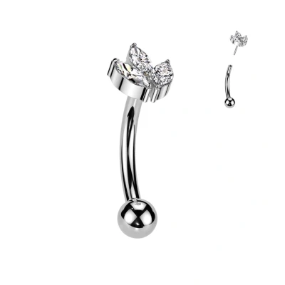 Afbeelding van Piercing curved titanium marquise