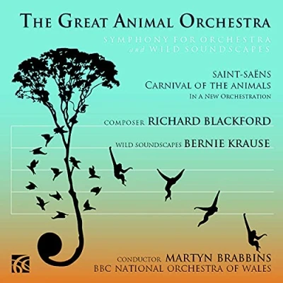 Afbeelding van BBC National Orchestra Of Wales, Martyn Brabbins The Great Animal : Symphony For Orchestr (CD)