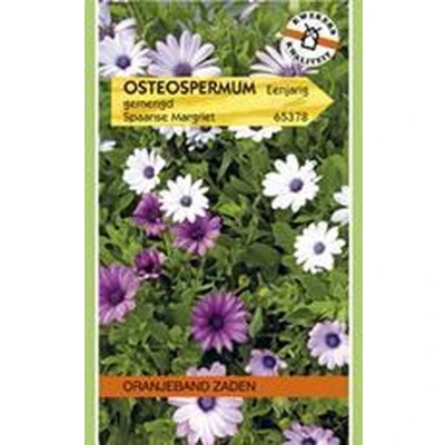 Afbeelding van Osteospermum, Spaanse Margriet Passion gemengd