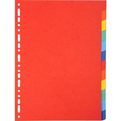 Afbeelding van Tabblad 25 st. recycled karton 220g 12 tabs A4 Exacompta
