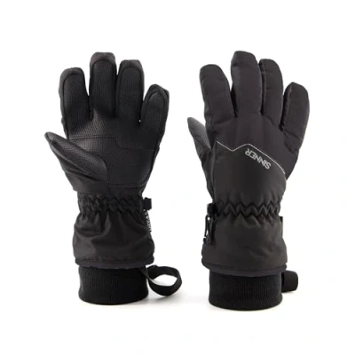 Afbeelding van Sinner skihandschoenen Phoenix zwart