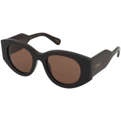 Afbeelding van Chloé Donna CH0251S 002 Occhiali da sole Acetato Havana Marrone Rotonda