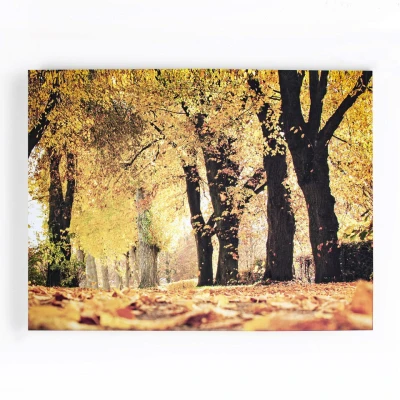 Afbeelding van Art for the Home Canvas Herfst 100x75cm