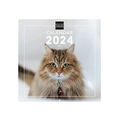 Afbeelding van Finocam Kalender met afbeeldingen wandformaat 2024 januari december (12 maanden) Cats internationaal