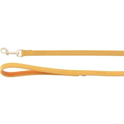 Afbeelding van Flamingo Hondenriem Virginia geel, 130 cm, 15 mm, de karabijnhaak heeft een matte gouden afwerking, met ring voor accessoires