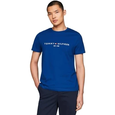 Afbeelding van Tommy Hilfiger LOGO TEE Tshirt print, Heren, Maat: Small, Anchor blue