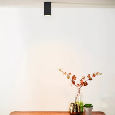 Afbeelding van Lucide DELTO Plafondspot LED Dim to warm GU10 1x5W Grijs