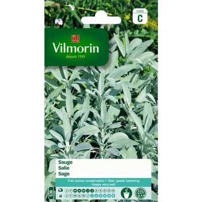 Afbeelding van Salie Salvia officinalis