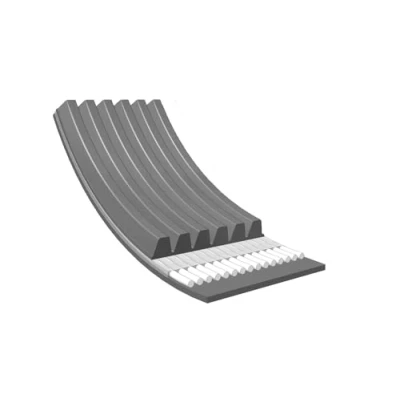 Afbeelding van Poly V riem MEYLE 050 006 0698