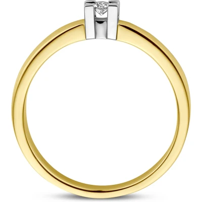 Afbeelding van Bicolor Gouden Ring diamant 0.05ct H SI 4207577 19.00 mm (60)