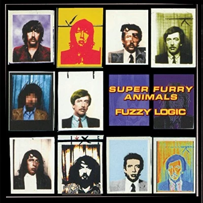 Afbeelding van Fuzzy Logic (20Th Anniversary Deluxe Edition)