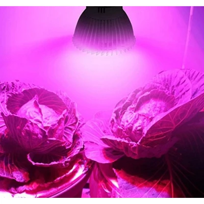 Afbeelding van Wankd led plantenlamp, 18 W, volledig spectrum, E14, wit, plantenlicht voor kamerplanten, groeilamp tuin, bloemen, groenten, fruit (E14)