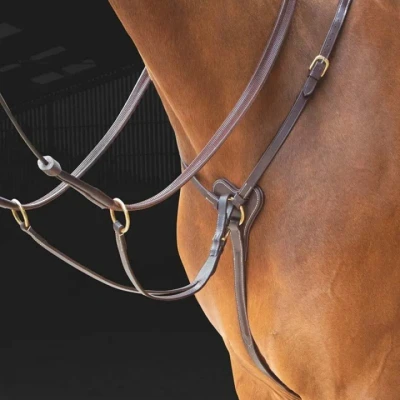 Afbeelding van Salisbury Drie Punt Borsttuig Australian Nut Cob