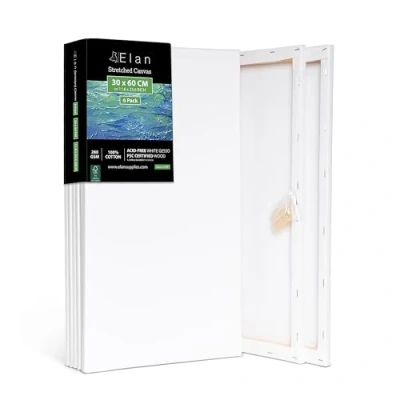 Afbeelding van Elan Schildersdoeken 30x60 CM, 6 Stuks Canvasdoeken 100% Katoenen Canvas voor Schilderen, Stretched Canvas, Painting Pre Primed Schilderdoek CM