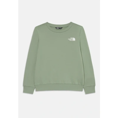 Afbeelding van The North Face Simple DOME CREW Sweater voor kinderen, Maat: 155 160, Light green