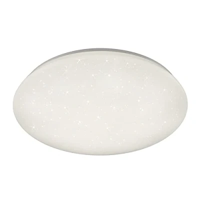 Afbeelding van REALITY POTZ Plafonniere Wit SMD LED Badkamer