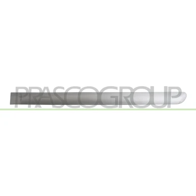 Afbeelding van Sier / beschermingspaneel, deur PRASCO PG4221464